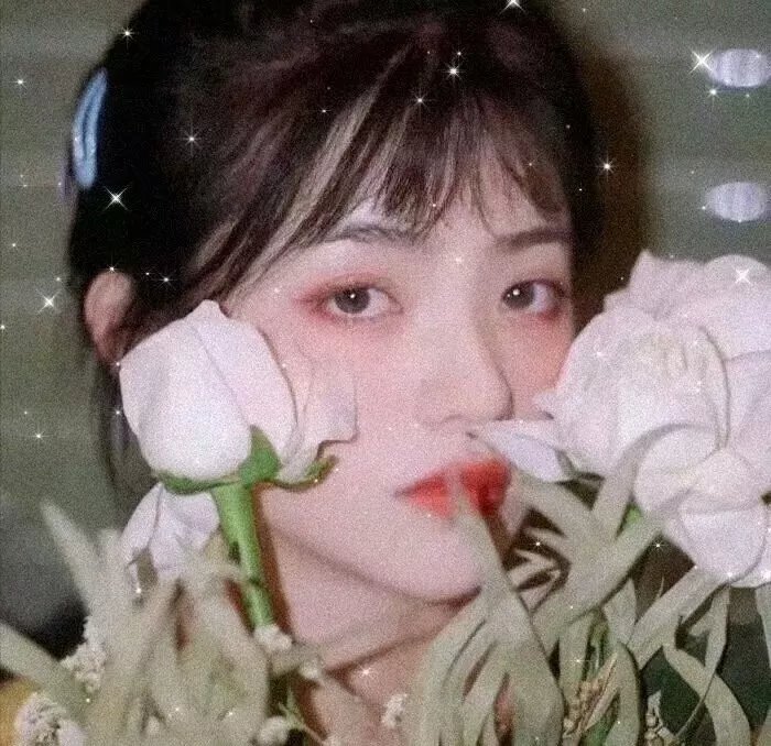 反正我就废