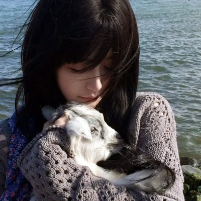 亲爱的客栈第一季